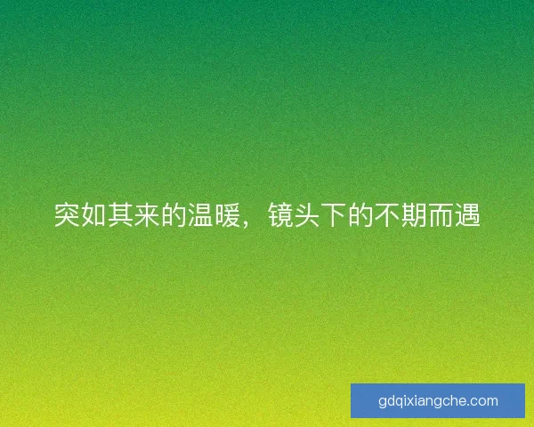 突如其来的温暖，镜头下的不期而遇